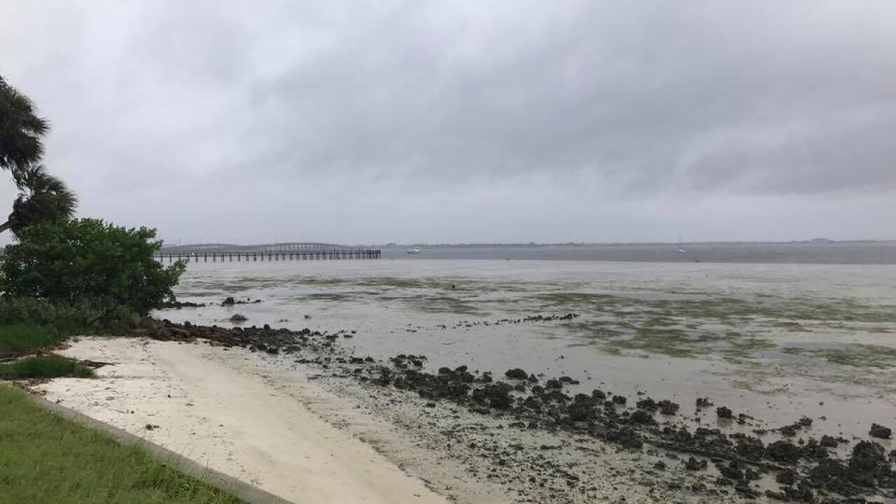 Shorelines Drained In Eerie Effect Of Hurricane Irma