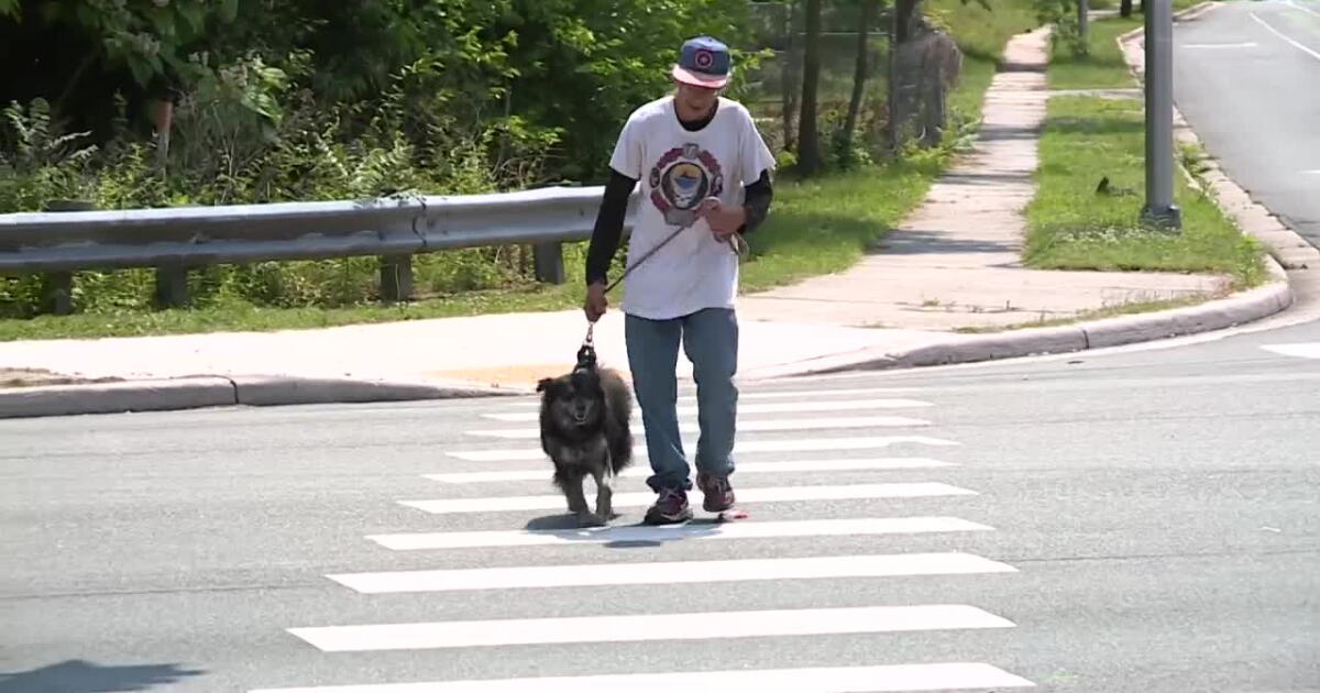 Man and his dog are nearly hit by drivers weekly: 'This is not a speedway' - Vimarsana News