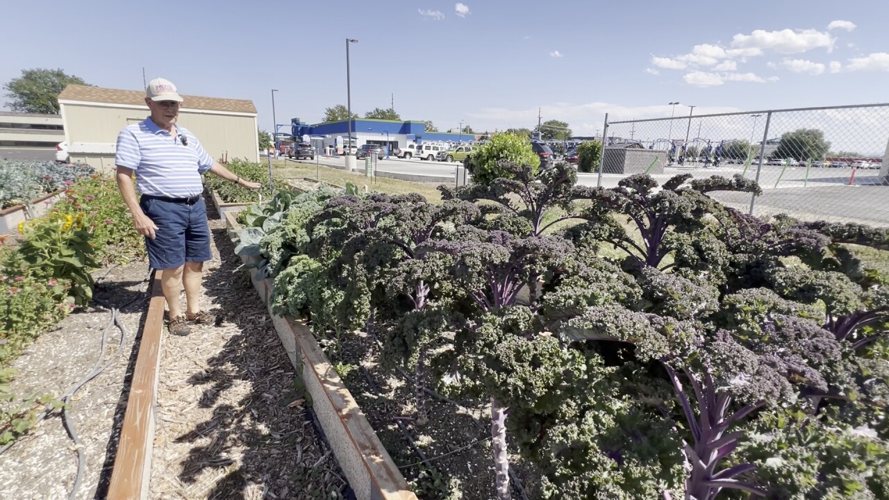 DAVE KIMBALL WEB 2_2.9.1.jpg