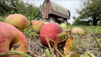 Metro Detroit apple orchards deep into fall picking season
