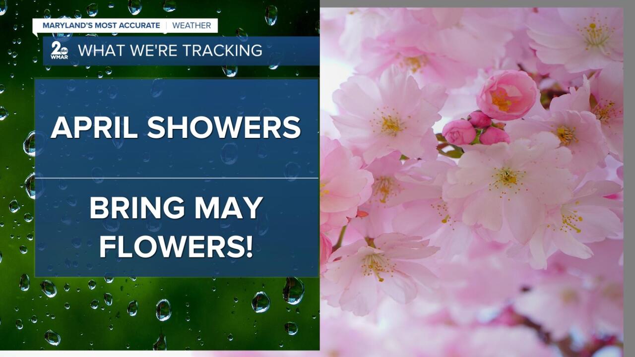 April Showers Bring May Flowers.jpg