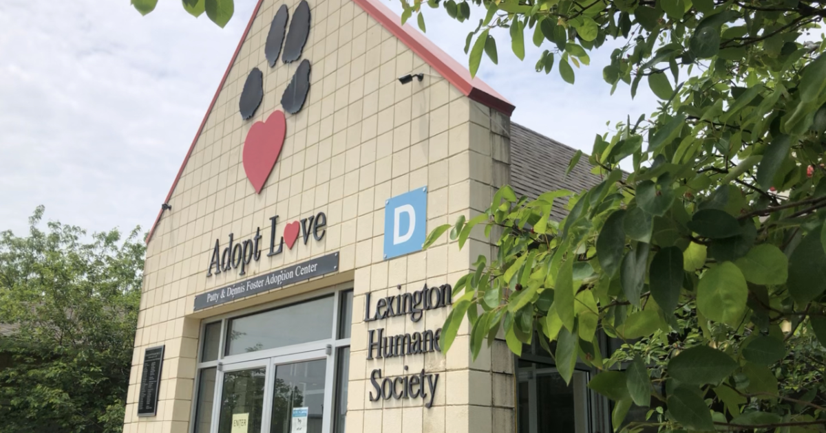 Lexington Humane Society in need of foster families