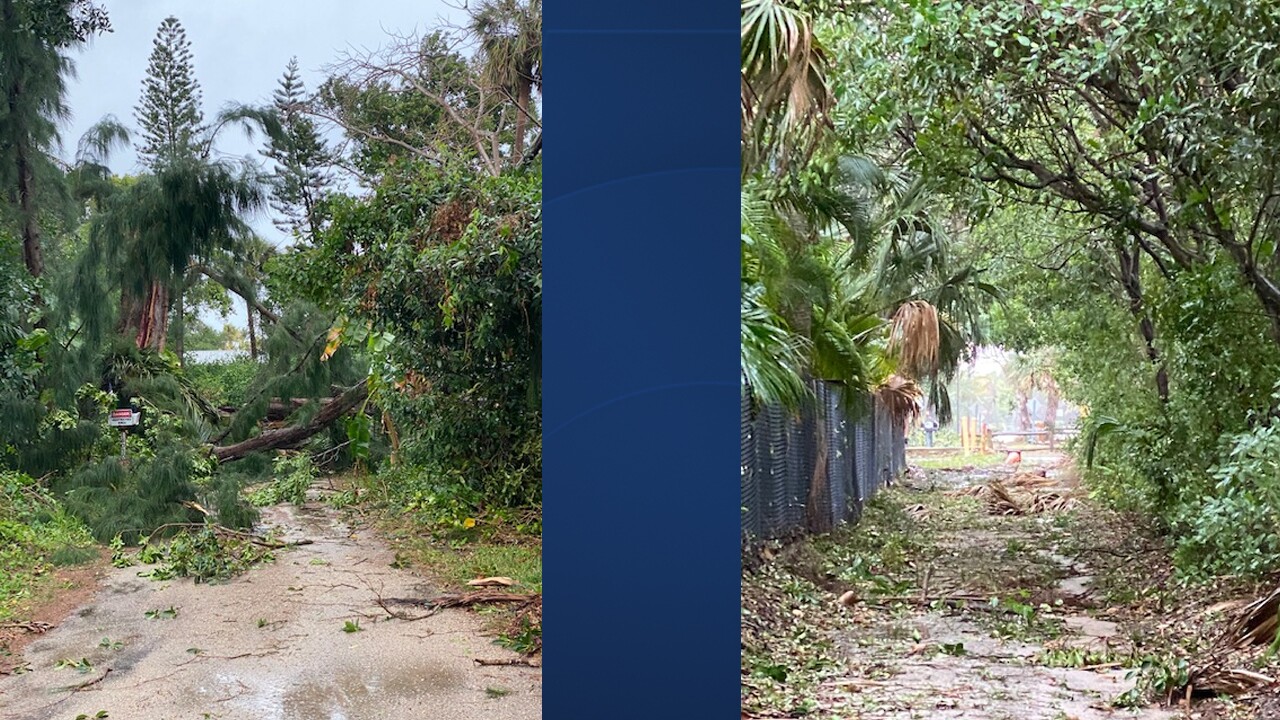Sunday's storm blew down trees and knocked down debris at Dubois Park in Jupiter.