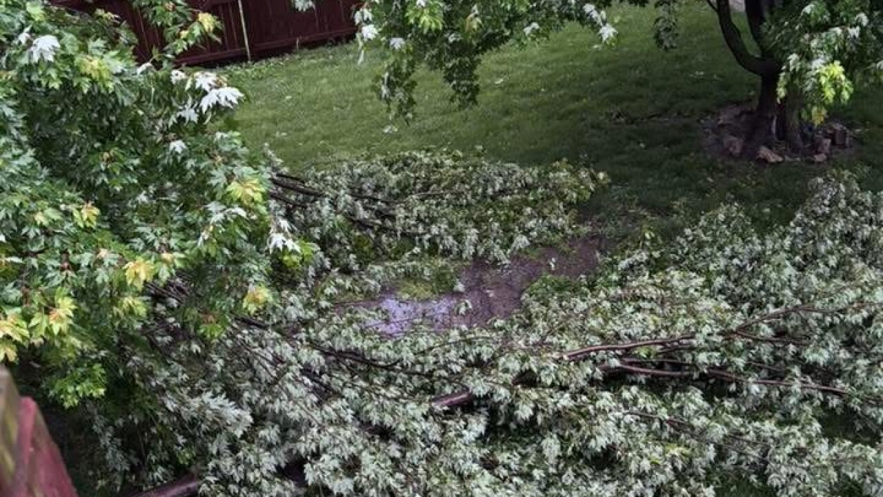 Moderate damage Raymore homeowner.jpeg