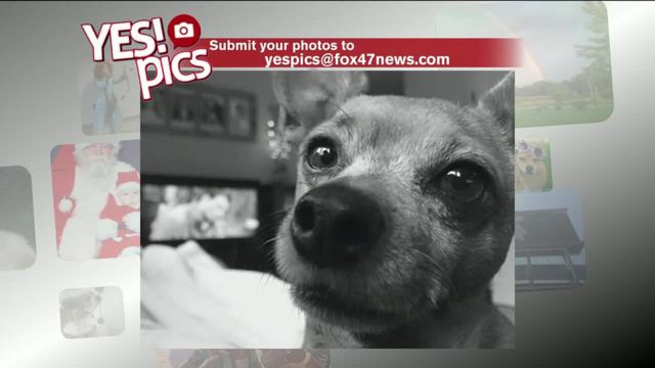 Yes! Pics: 3/8/18