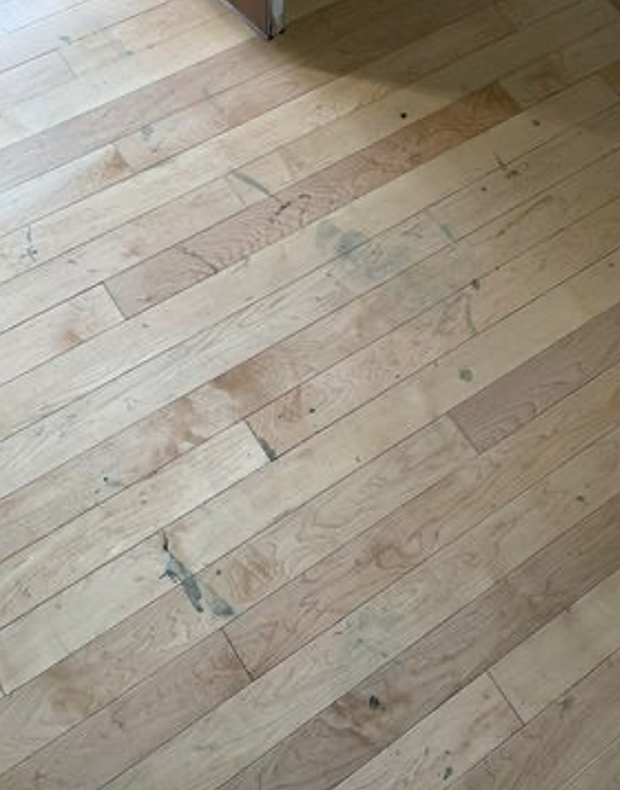 Blue tracked into new home