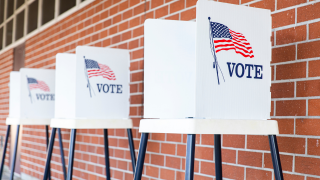 Voting Poll Stock