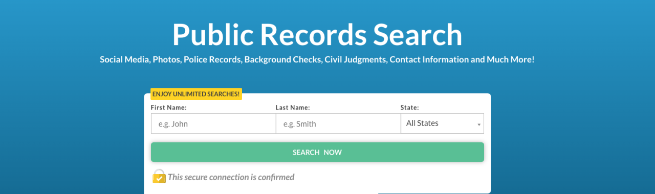 public records search.png