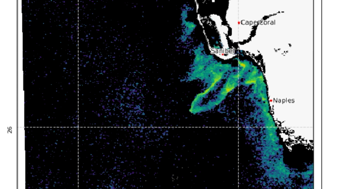 Red Tide Naples Florida 2025