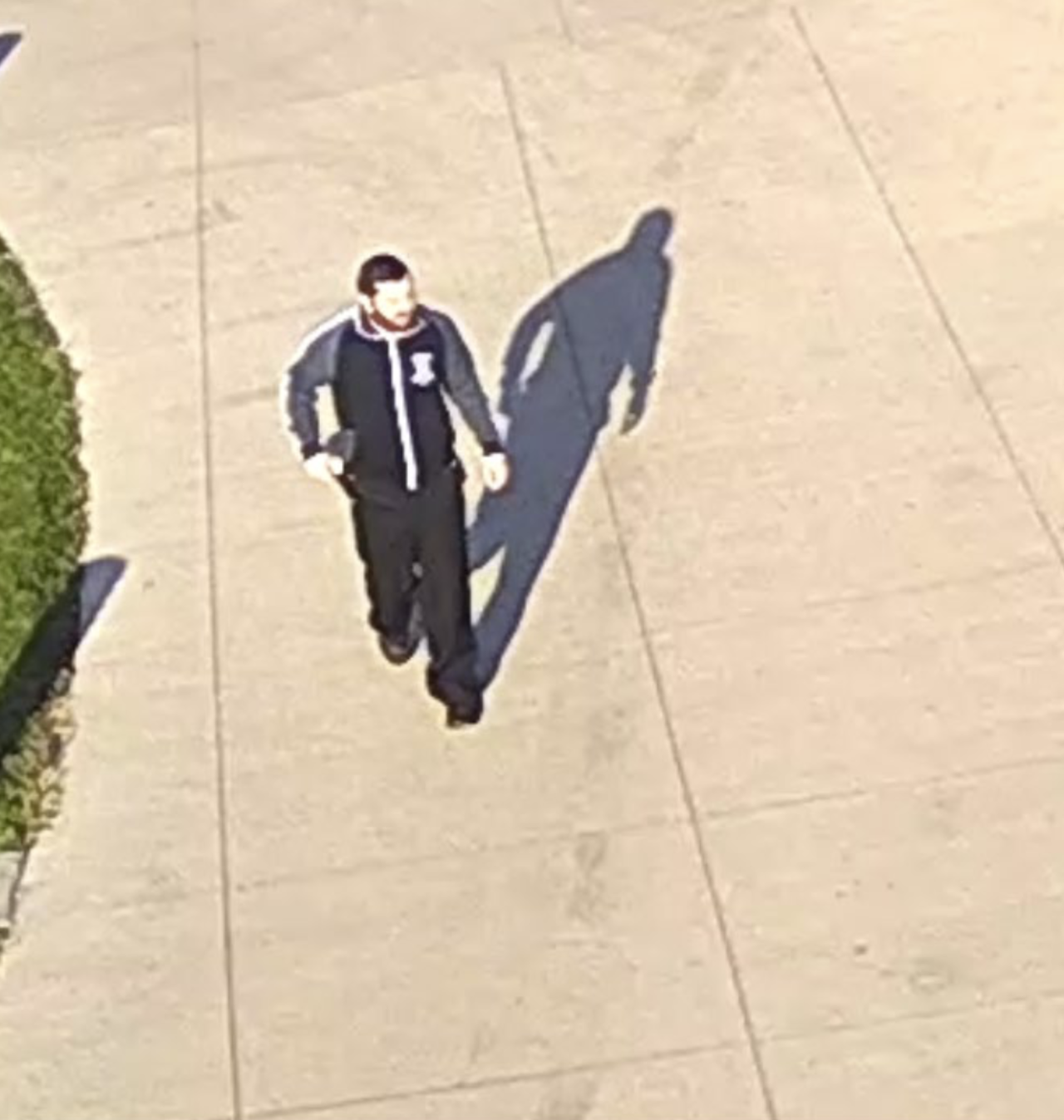 Martha McSalley suspect surveillance photo