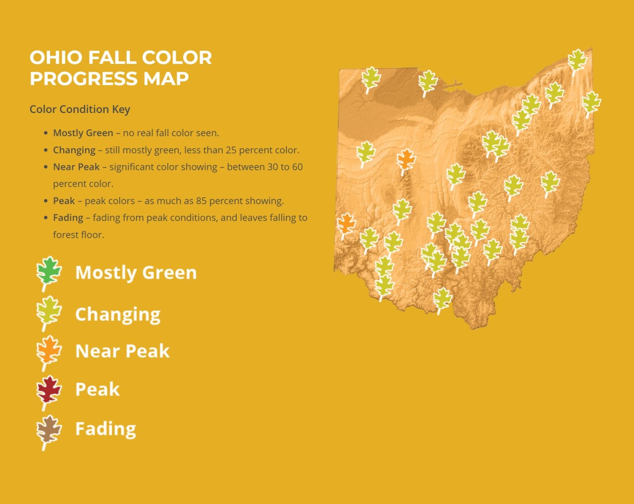 Ohio Fall Foliage 2025