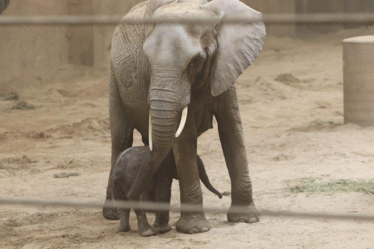 Sonny and Claire 020422s.jpg