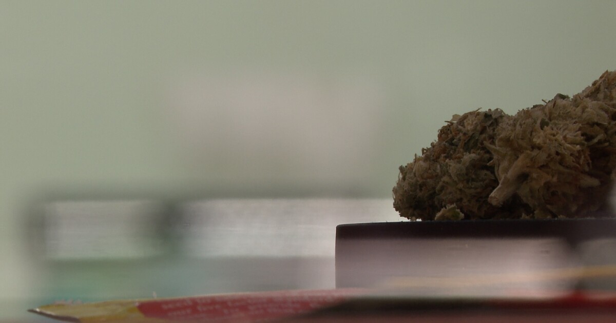 Michigan's marijuana tax funds road repairs, but legal challenge threatens revenue