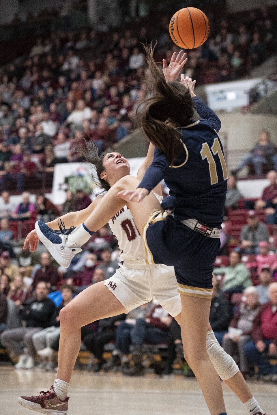 KPAX 012123 GRIZ GBB MSU37.jpg