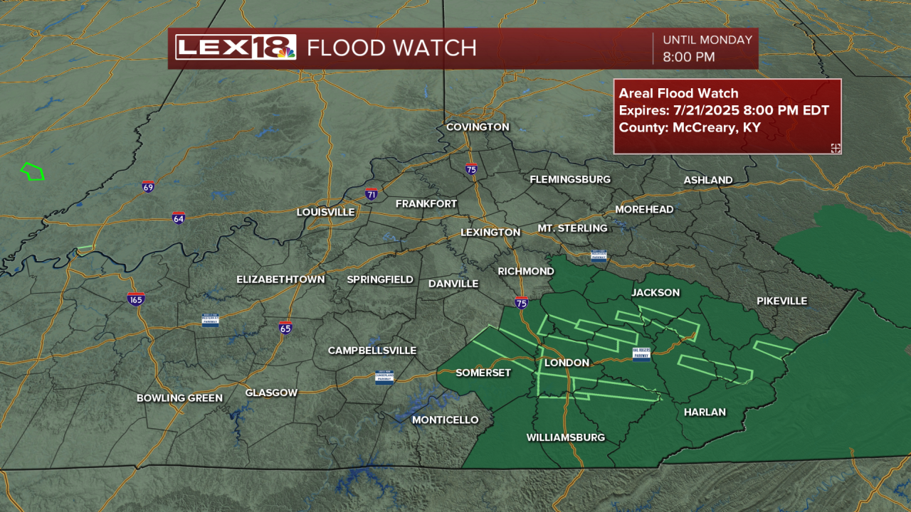 FLOOD WATCH.png