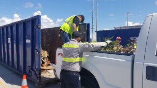 litter critter trash 2.jpg