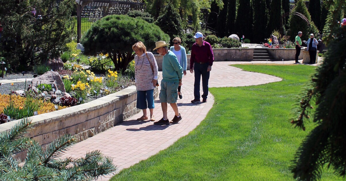 National Knock Out Rose Day celebration opens private Greenfield garden of famous rose creator