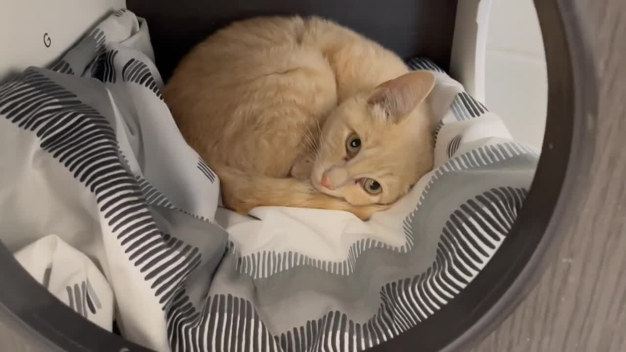 Poster image - 2024-10-01T132007.275.jpg