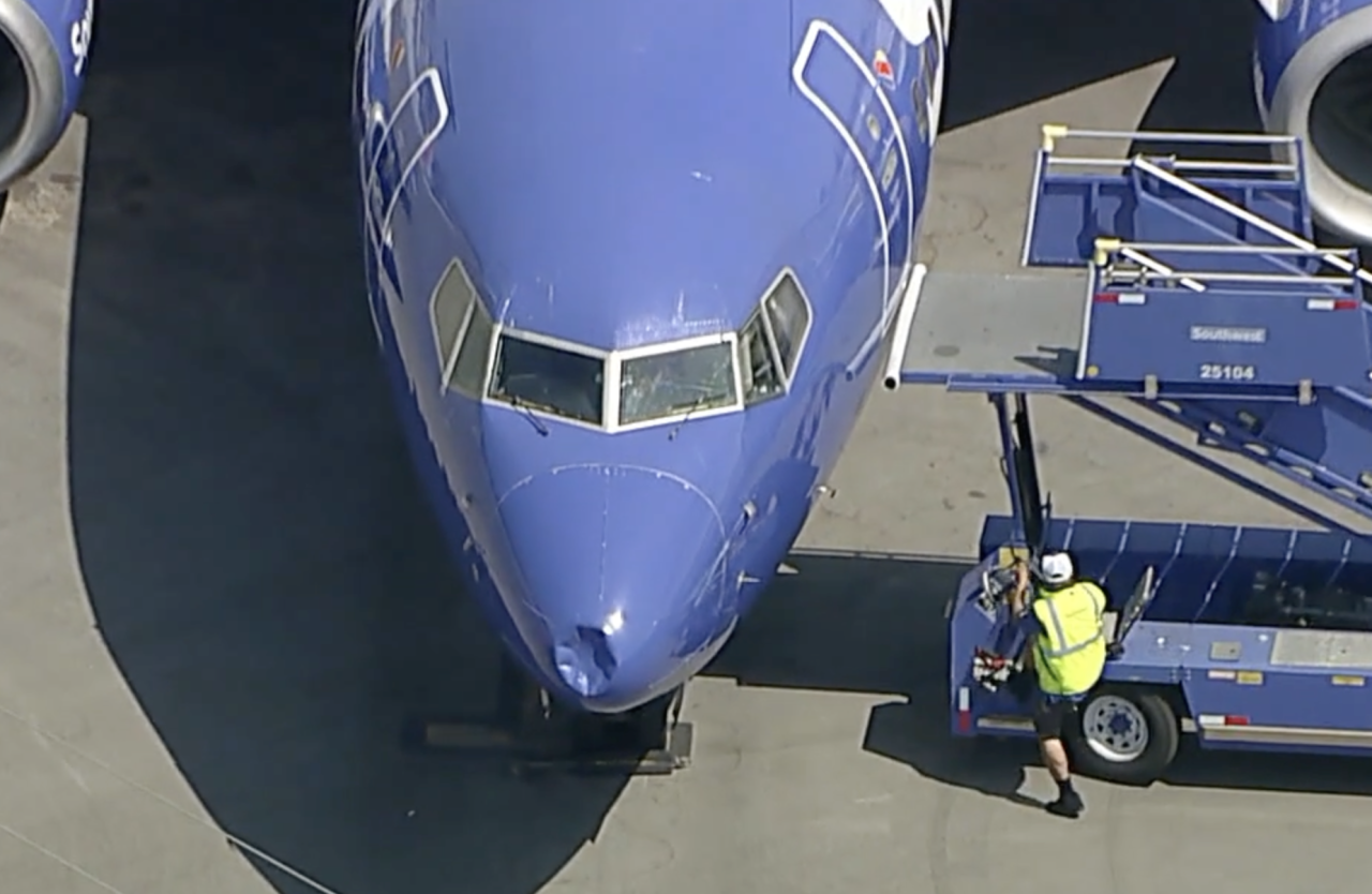 Southwest flight hits bird
