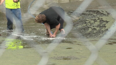 Wildlife groups rescue animals as Gilbert drains lake at Freestone Park