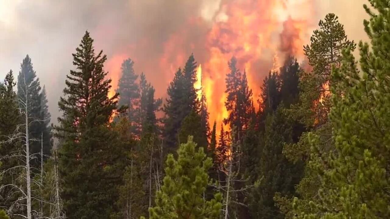 yfire2.jpg