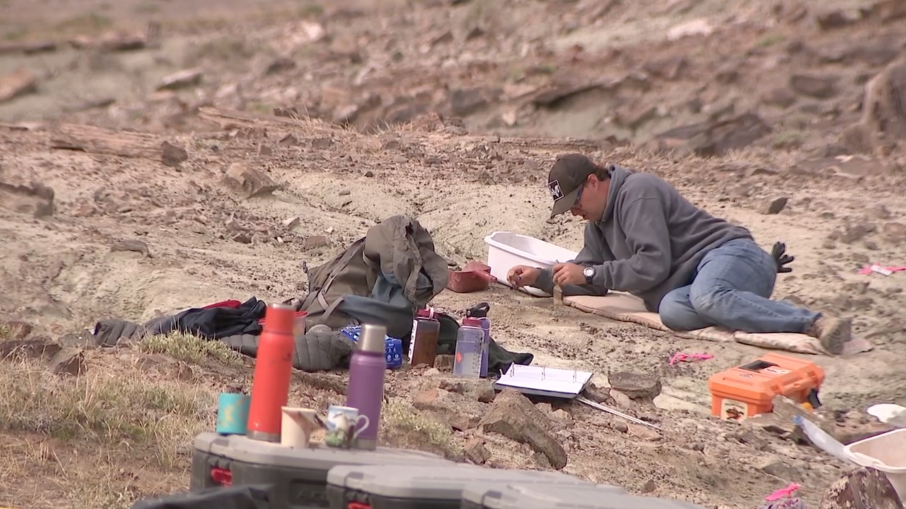 Dinosaur fossils Utah.png