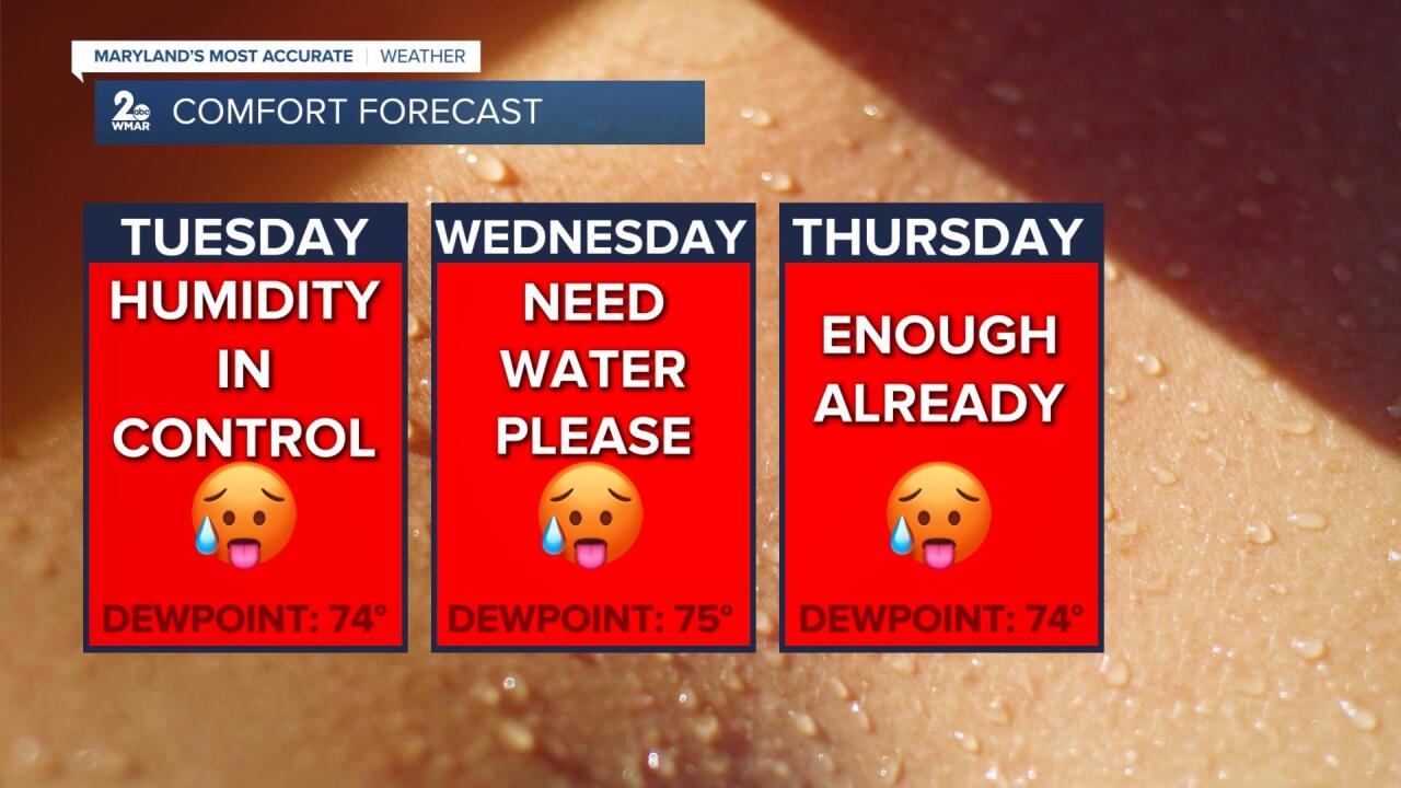 Comfort Forecast.jpg