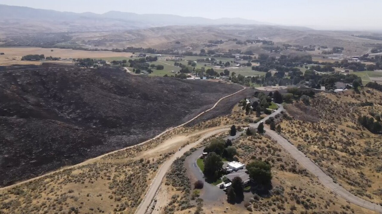 eagle foothill fire burn scar