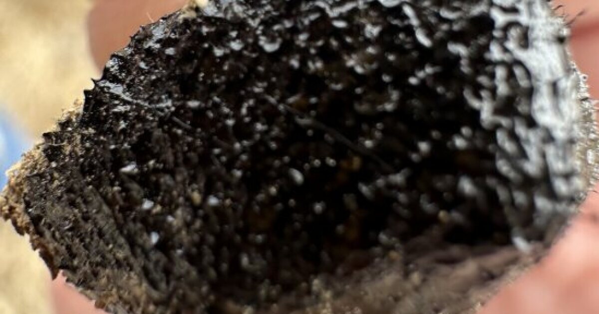 Meteorite hunters call Northeast Ohio's meteor historic