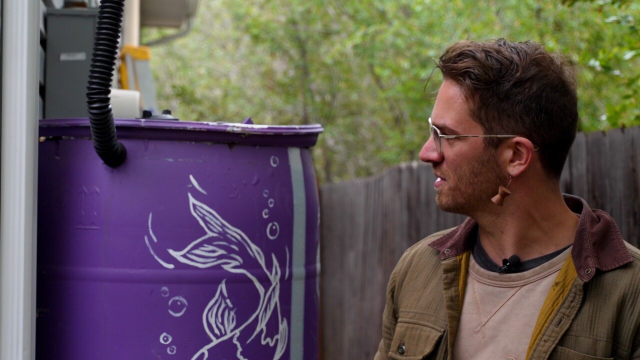 looking out on rain barrel.jpg