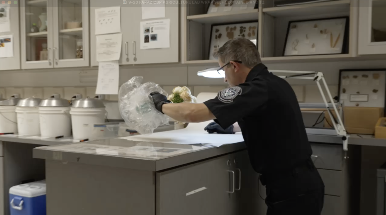 Screenshot 2025-09-21 at 3.55.54 PM.png