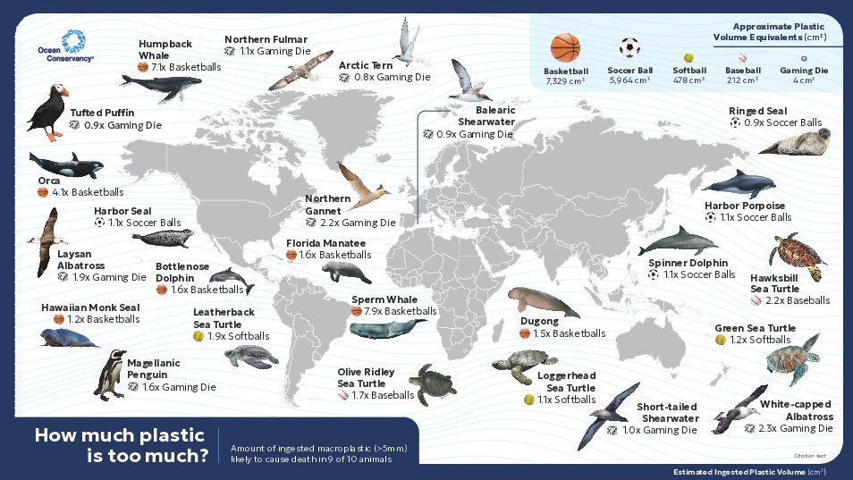 How much plastic is too much
