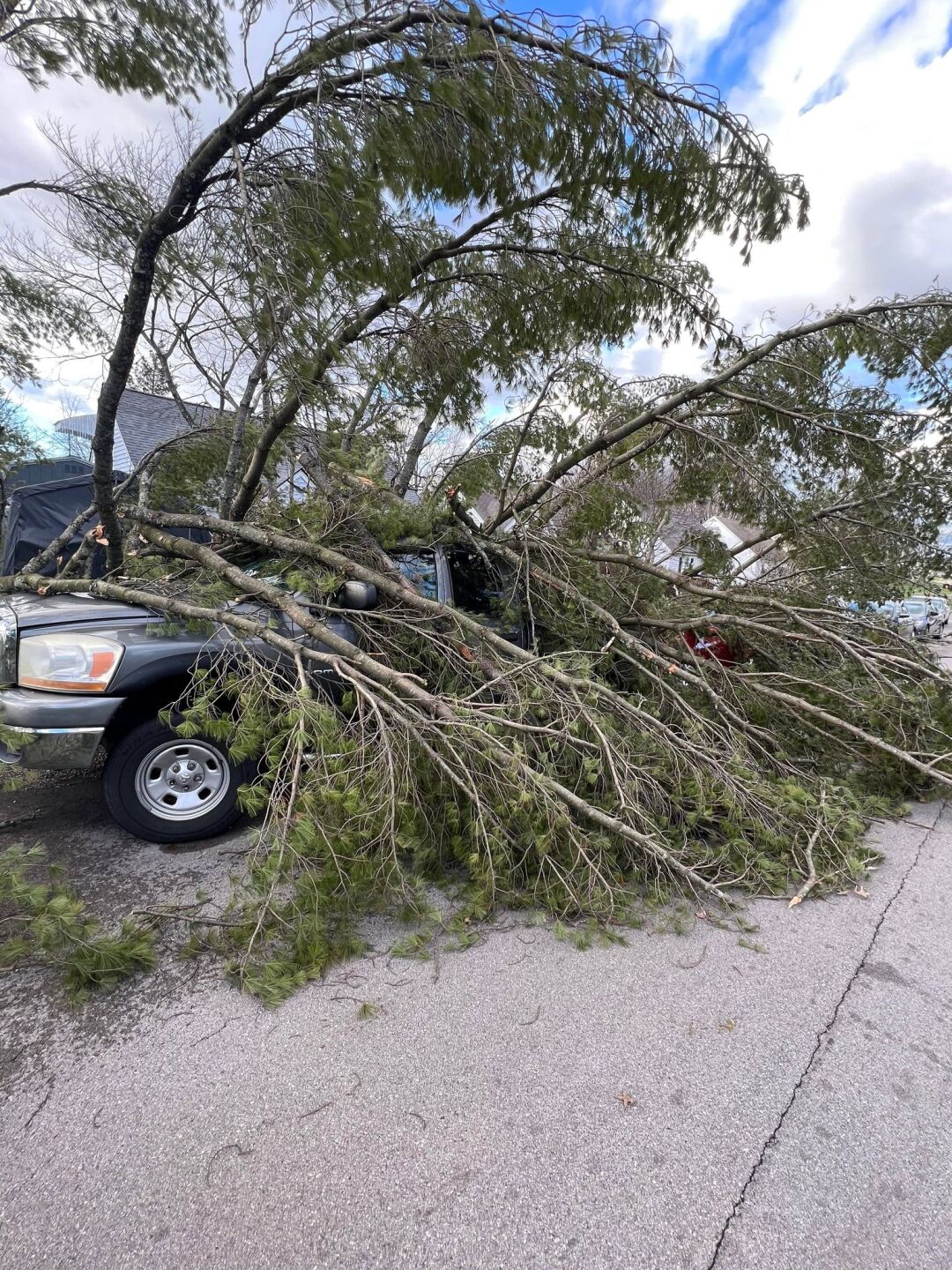 Jeff Dawson (castlewood area.jpg