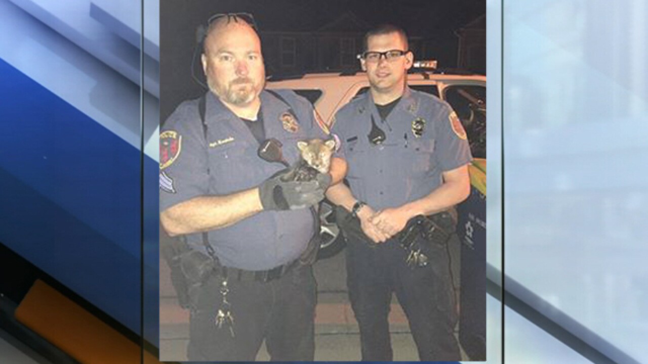 A Kearney Police Sergeant And Officer Went Below The Streets To Help A Baby Fox Late Wednesday Night A Kearney Police Sergeant And Officer Went Below The Streets To Help A Baby Fox Late Wednesday Night