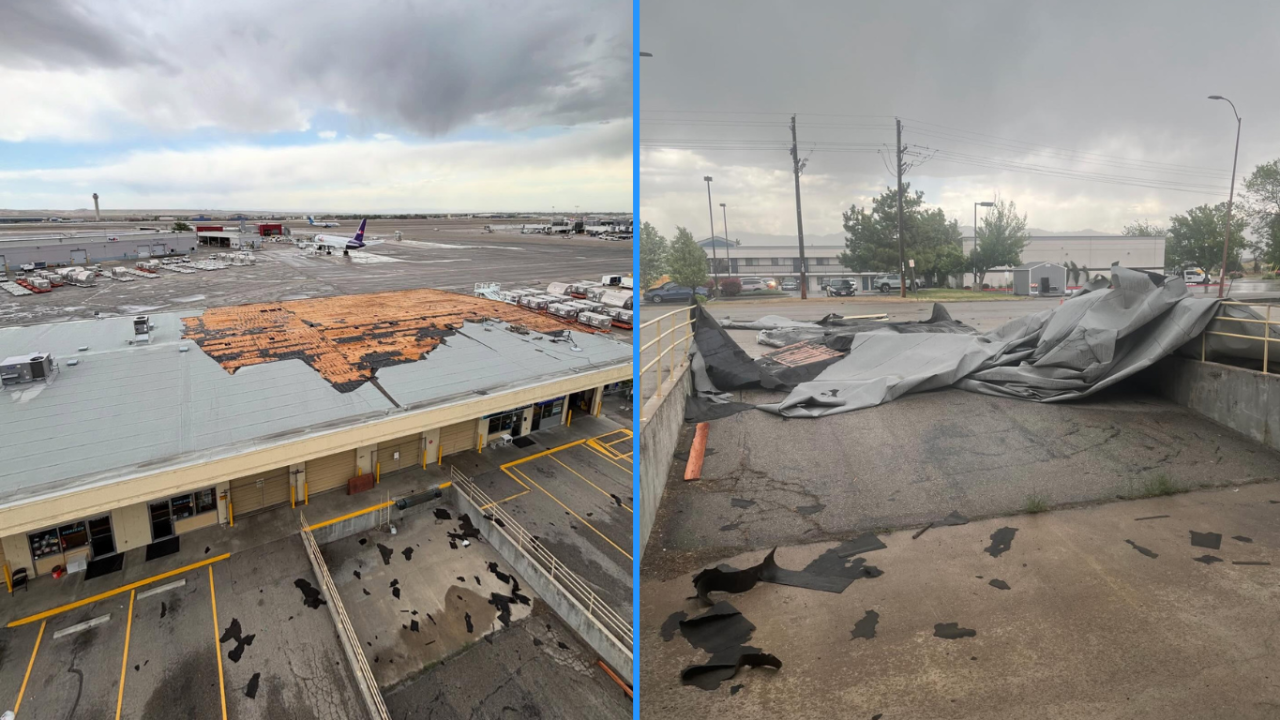Airport roof  (1).png