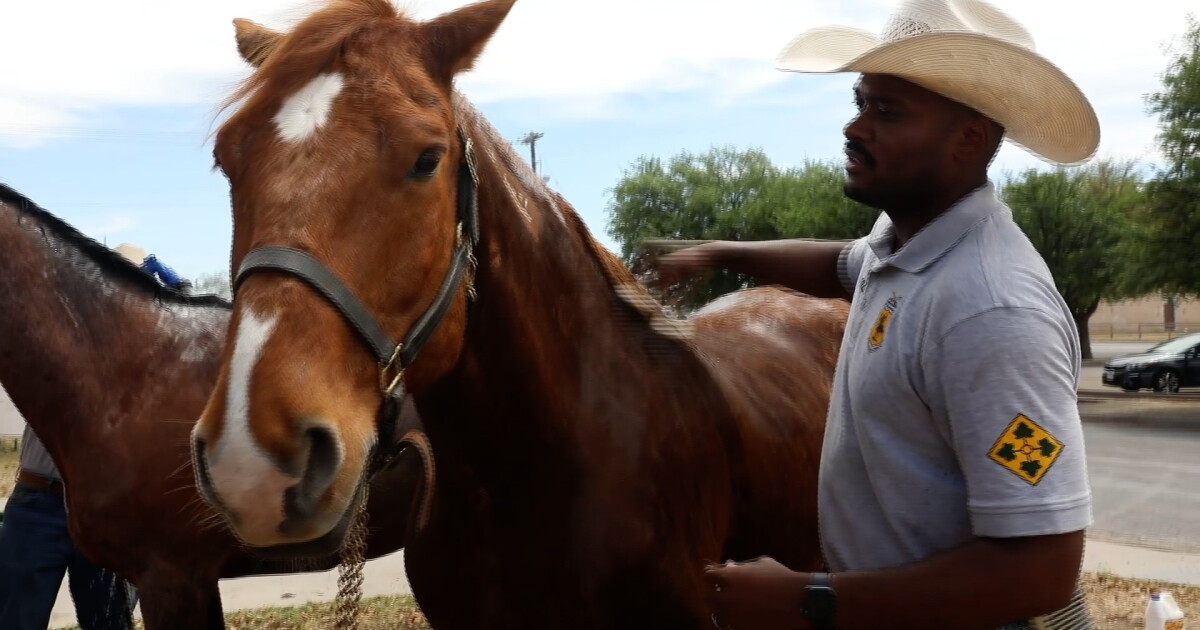 Fort Carson Mounted Color Guard deactivating after 58 years of service - Vimarsana News