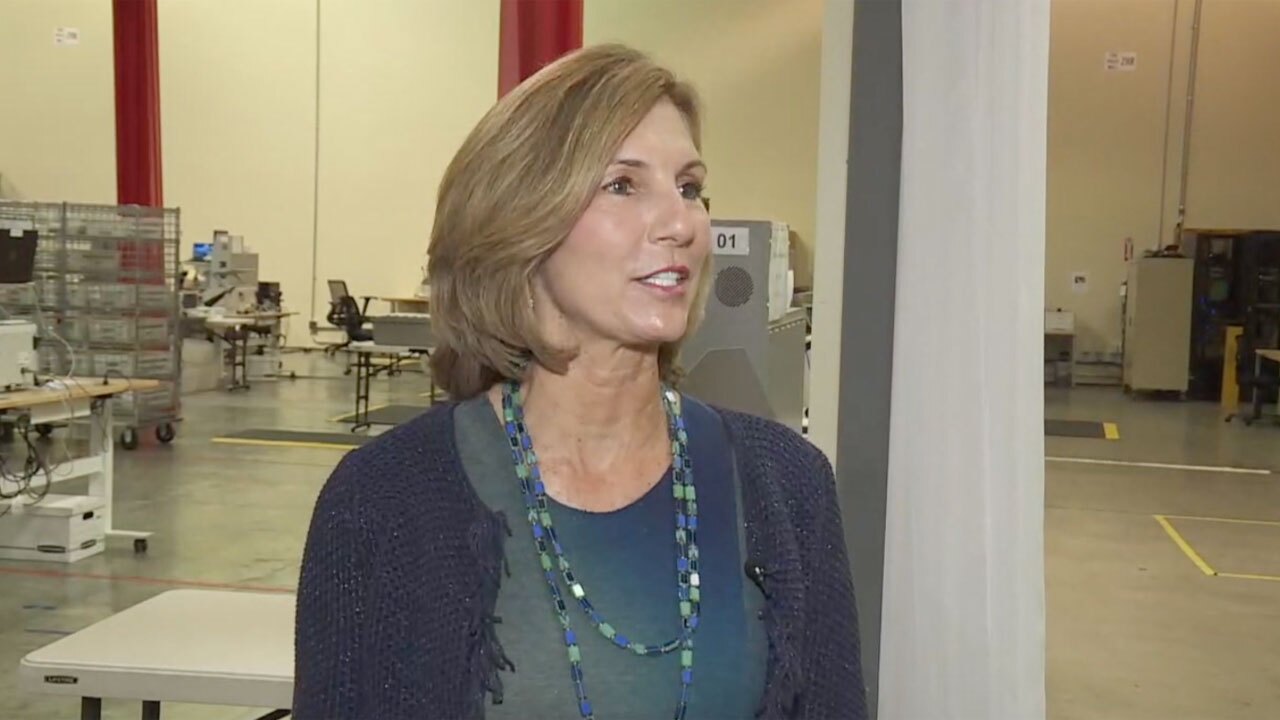 Palm Beach County Supervisor of Elections Wendy Sartory Link speaks about efforts to tabulate mail-in ballots before election night.
