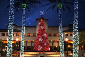 Phoenix Holiday Lights 2019 The Top Christmas Light Shows Around