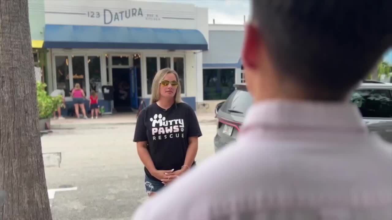 Mutty Paws Rescue founder Ashley Miller talks to WPTV reporter Joel Lopez about the adoption event. Sept. 27, 2023