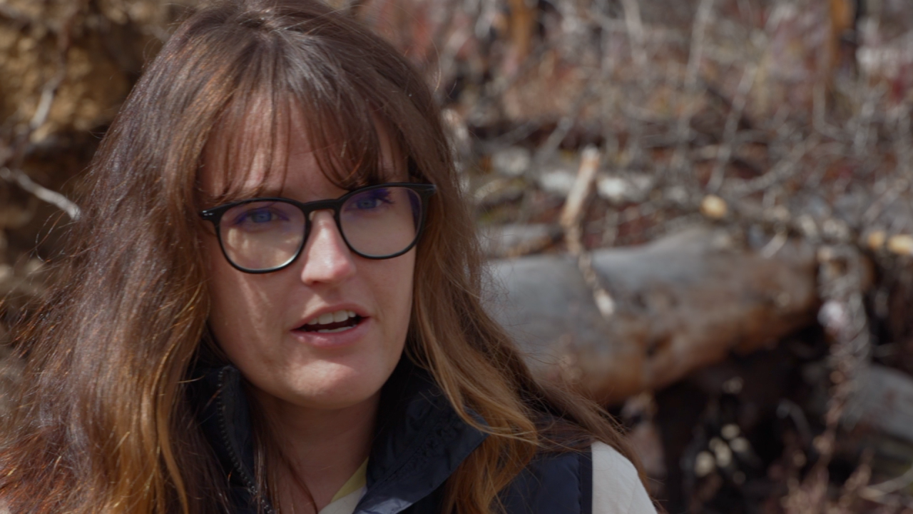Morgan Cannon, Northern Colorado Project Coordinator with the National Forest Foundation 
