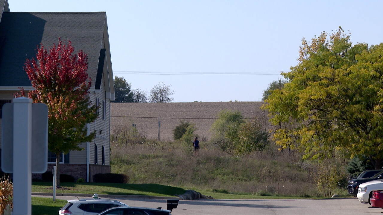 honey creek with cornfield.jpg