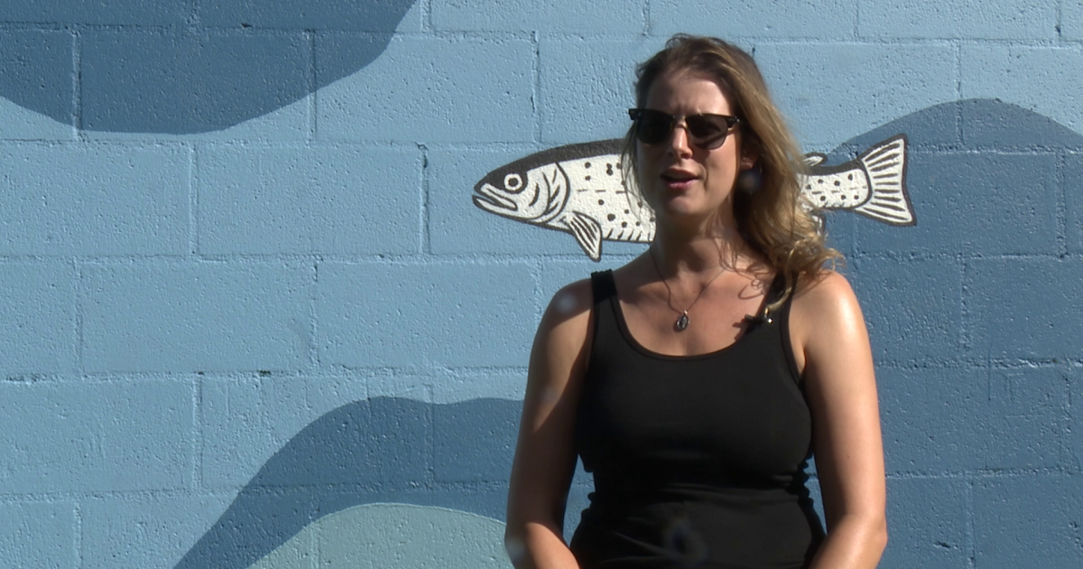 Artist and students create mural in Pepin Park in Havre - Vimarsana News