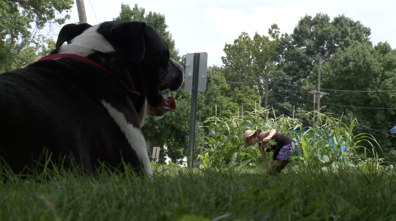 Screenshot 2024-07-20 at 8.58.15 PM.png