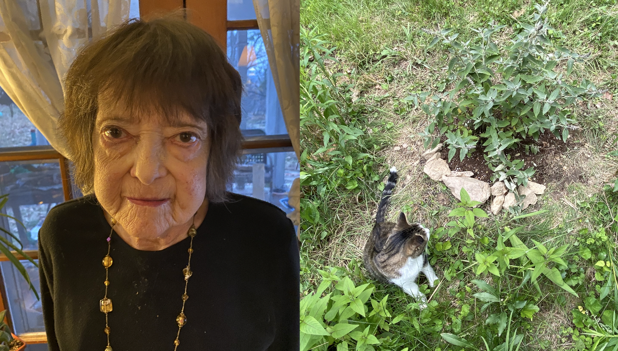 Peggy Spiese, Earth Funeral client