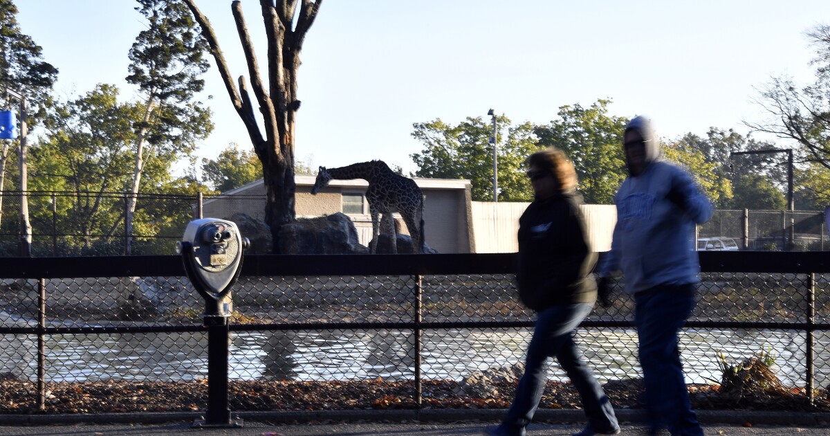 Louisville Zoo sets all-time attendance record with nearly 1 million visitors in a single year