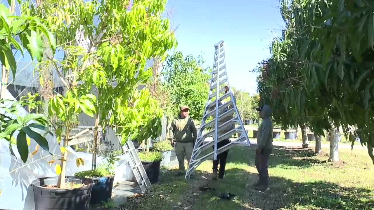 Fruitscapes Nursery handles the cold