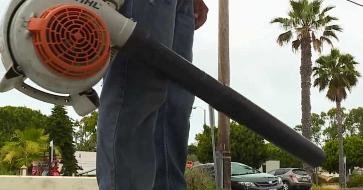 Encinitas leaf blower ordinance law