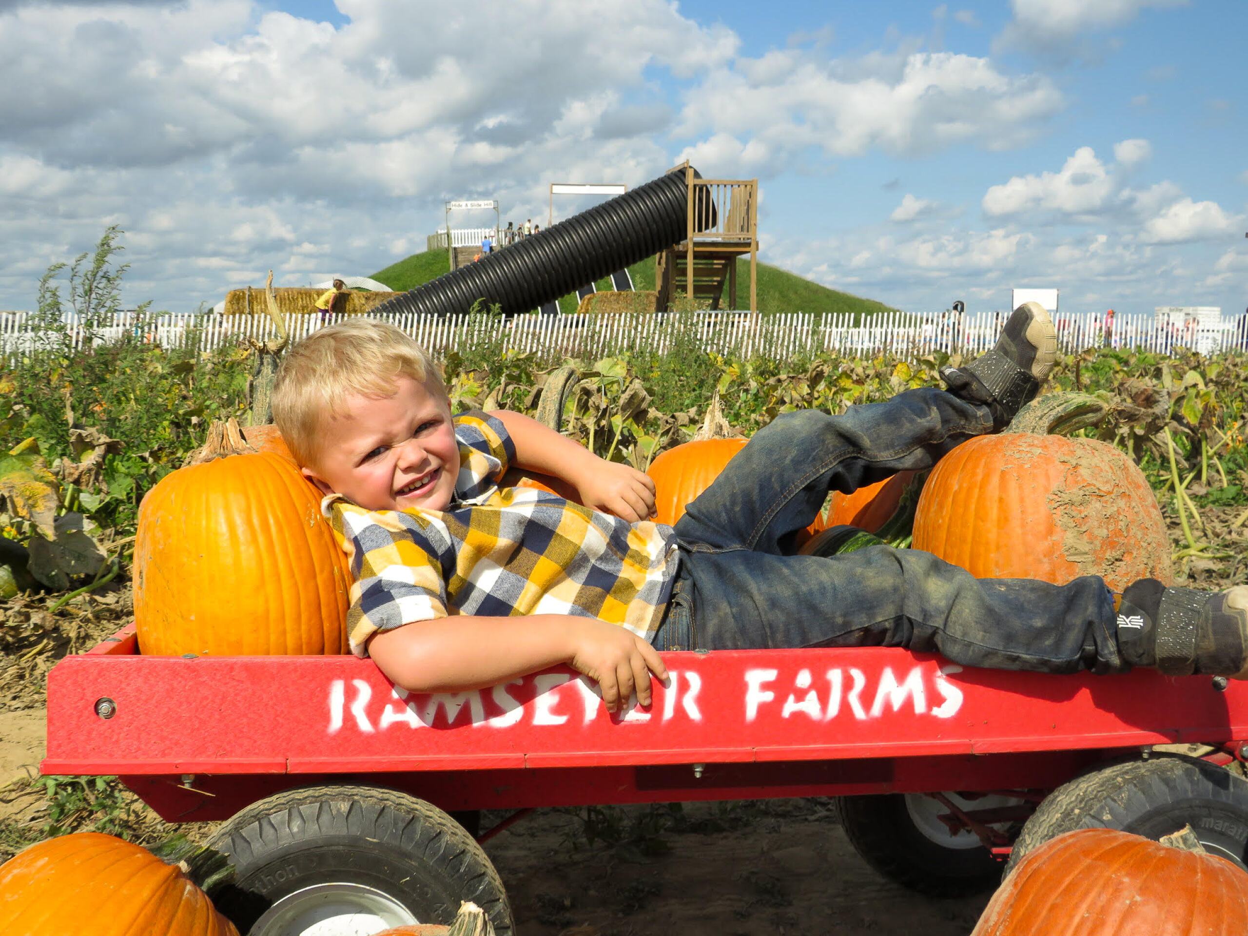 Your guide to the best pumpkin patches in Northeast Ohio