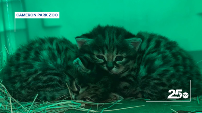 CAMPARKZOO_1.png