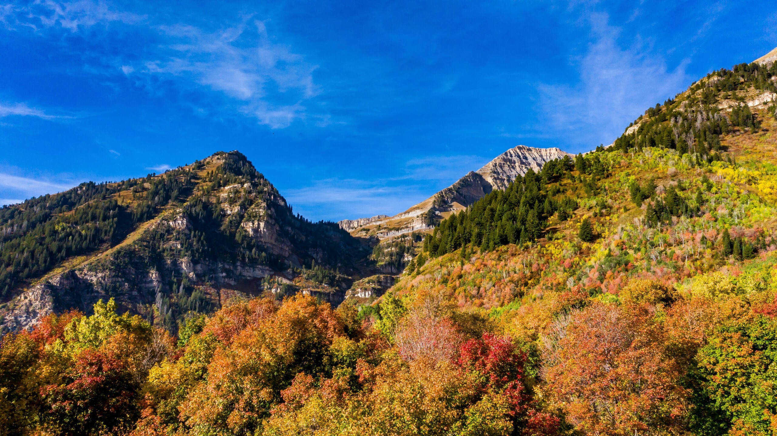 Where to see the best displays of fall foliage in Utah